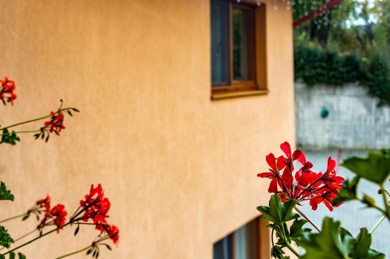 Casa Tofi Vendeghaz Aparthotel Praid Bagian luar foto